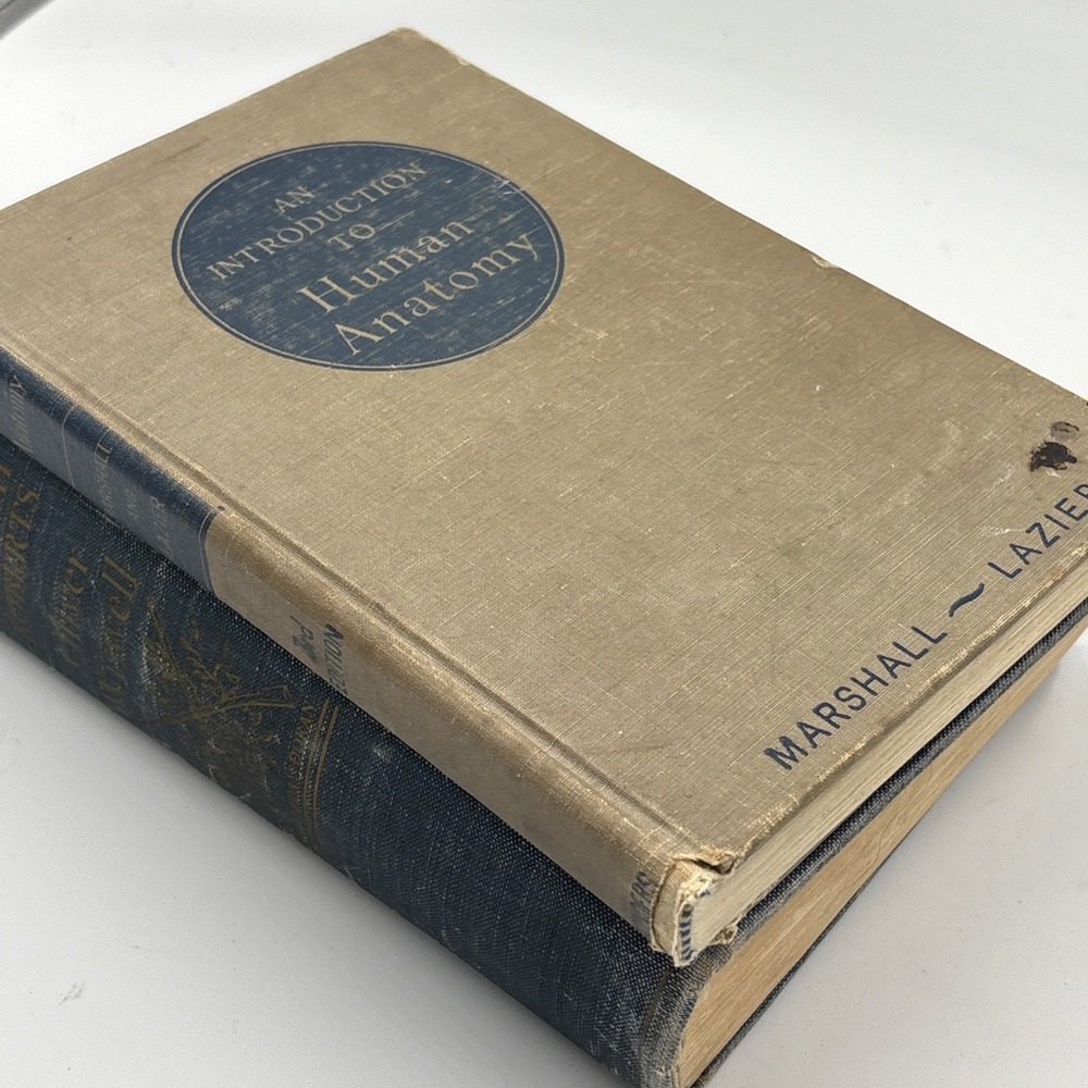 Vintage 3 Blue Brown Books Lot Staging Decor Retro Prop Shelf Mantle Centerpiece - Picture 7 of 8